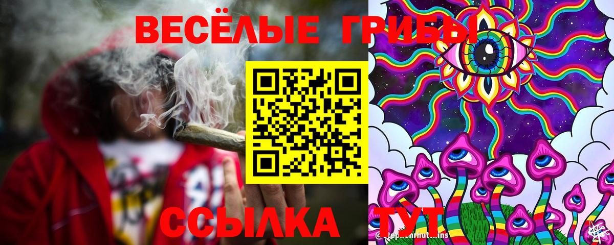Псилоцибиновые грибы мухоморы Сердобск
