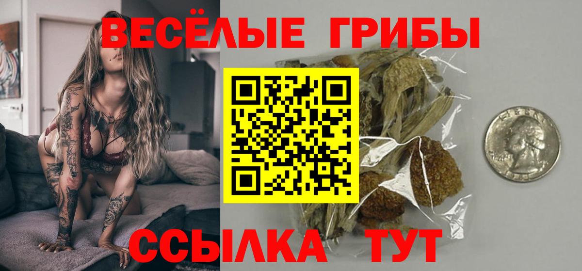Сердобск  Галлюциногенные грибы Psilocybe  Вход с VPN 